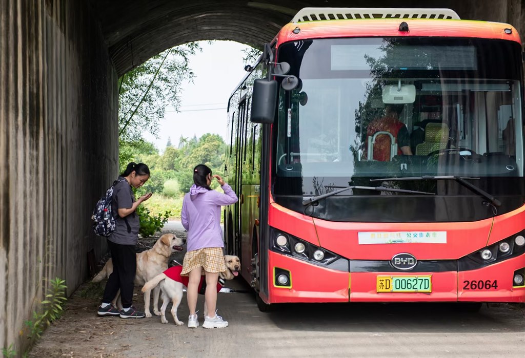 mmexport1695297558868.jpg mmexport1695297558868.jpg