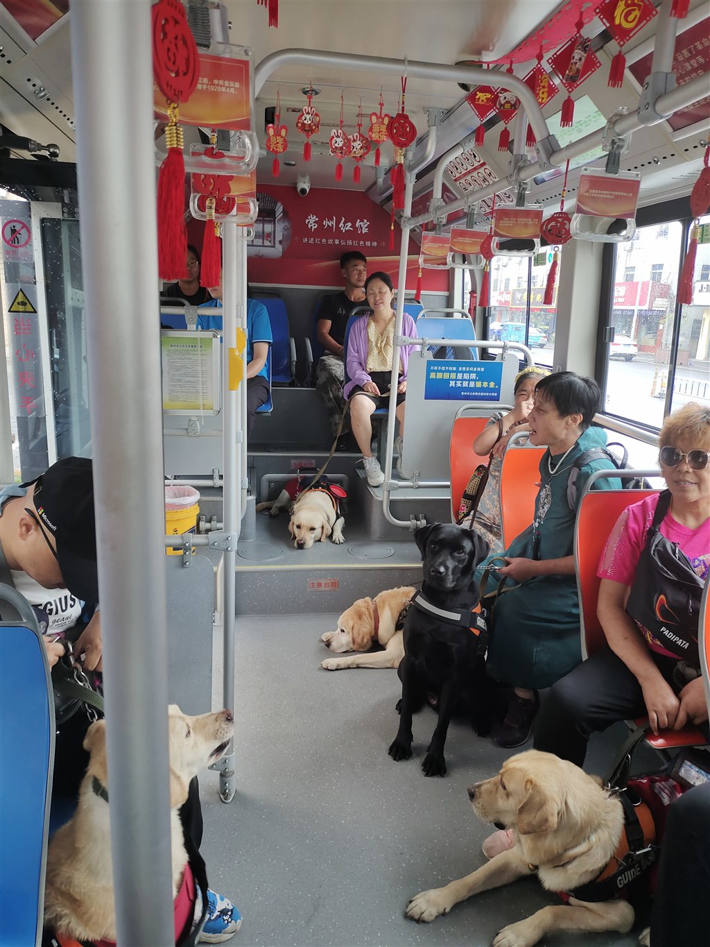 mmexport1695362994005.jpg mmexport1695362994005.jpg